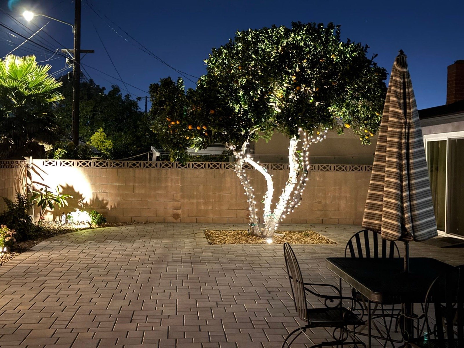 Backyard patio at night with an orange tree wrapped in string lights
